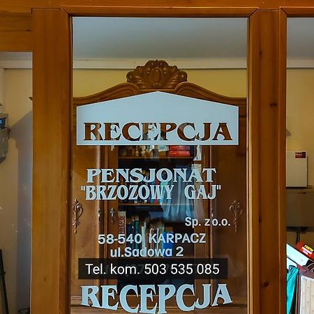 Brzozowy Gaj - Pensjonat Karpacz Zewnętrze zdjęcie