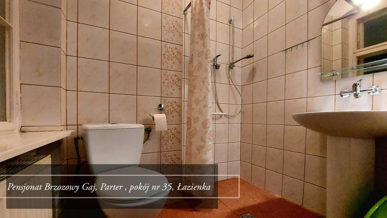 Brzozowy Gaj - Pensjonat Karpacz Zewnętrze zdjęcie