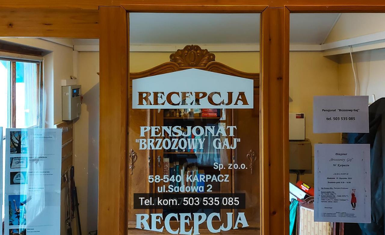 Brzozowy Gaj - Pensjonat Karpacz Zewnętrze zdjęcie