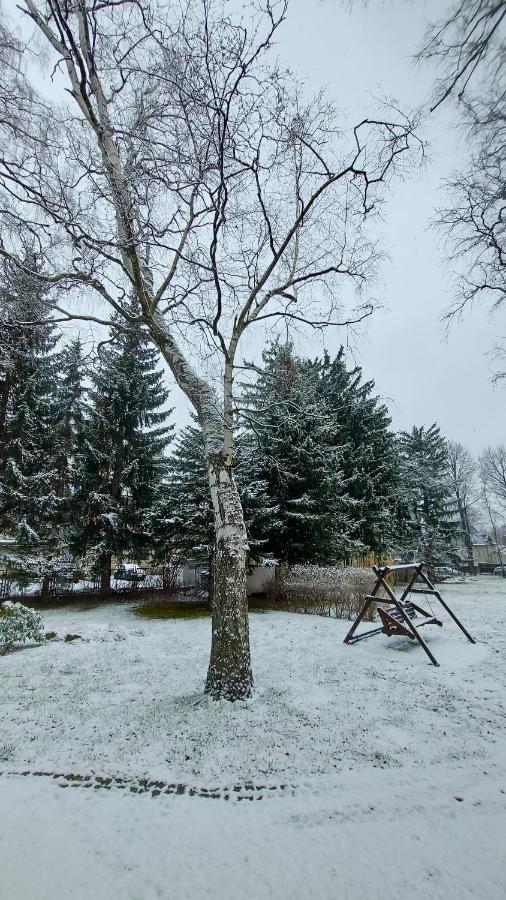 Brzozowy Gaj - Pensjonat Karpacz Zewnętrze zdjęcie